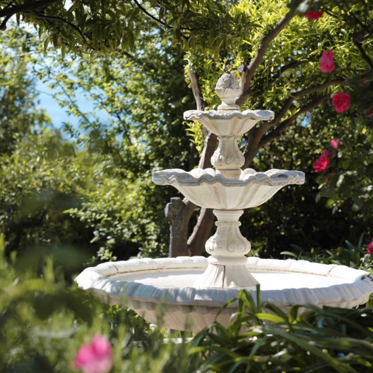 A beautiful fountain surrounded by roses and plants.